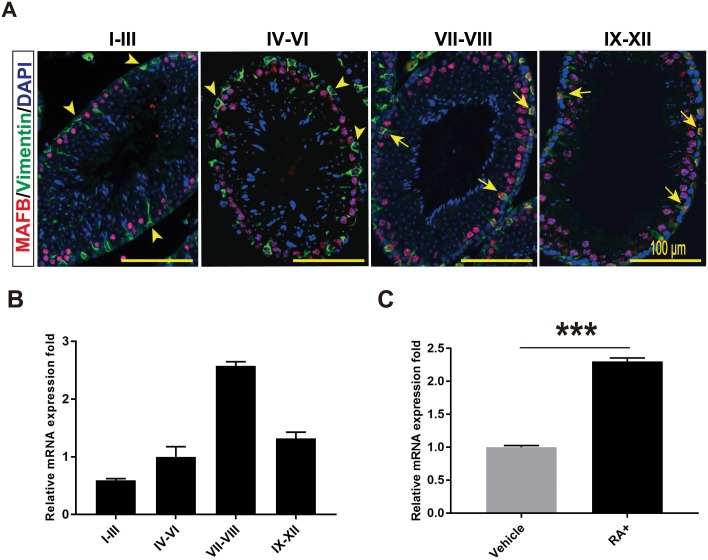 Fig 4