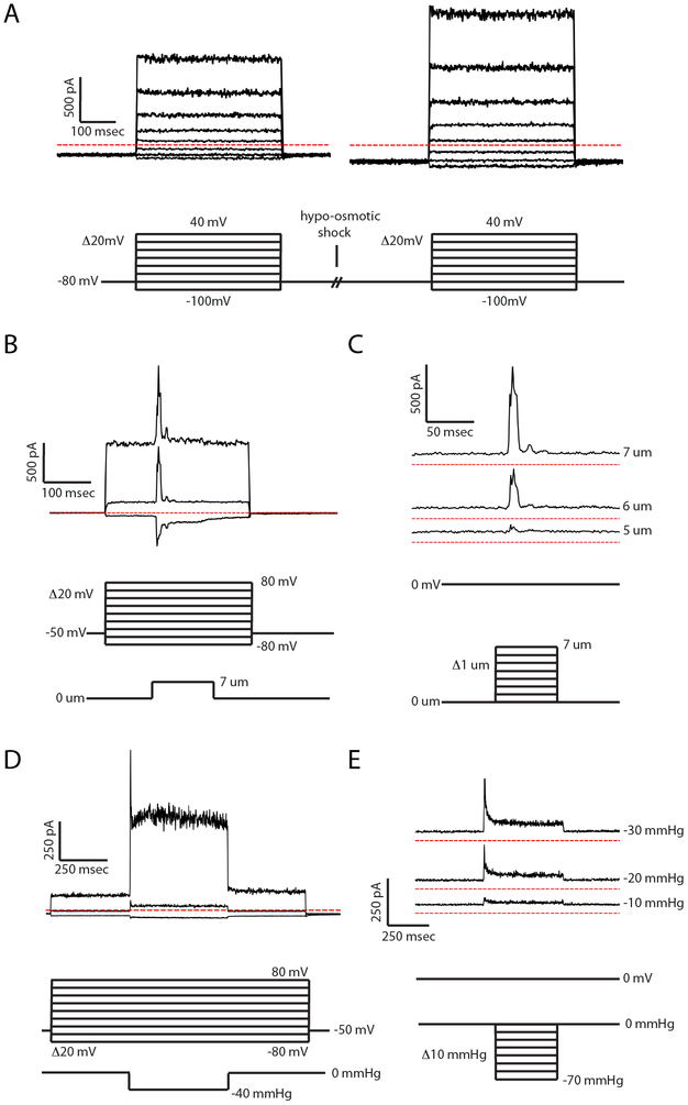 Figure 1: