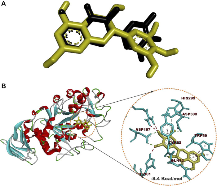 FIGURE 4