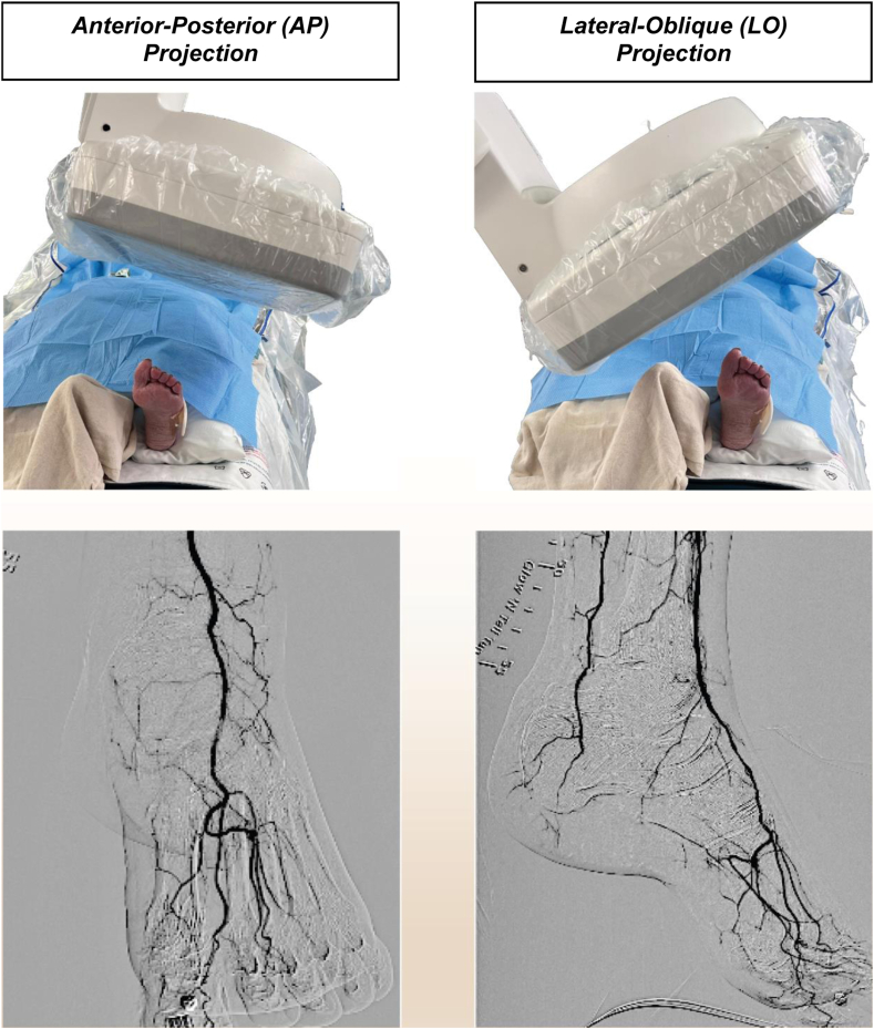 Fig 3