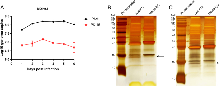 Fig. 1