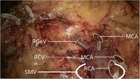 Fig. 9