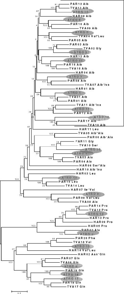 FIG. 2.