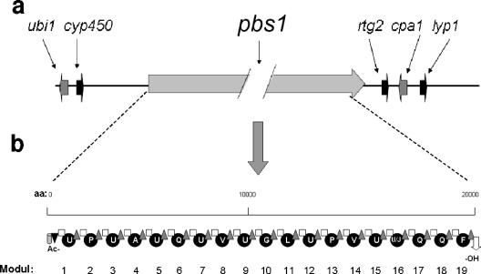 FIG. 1.