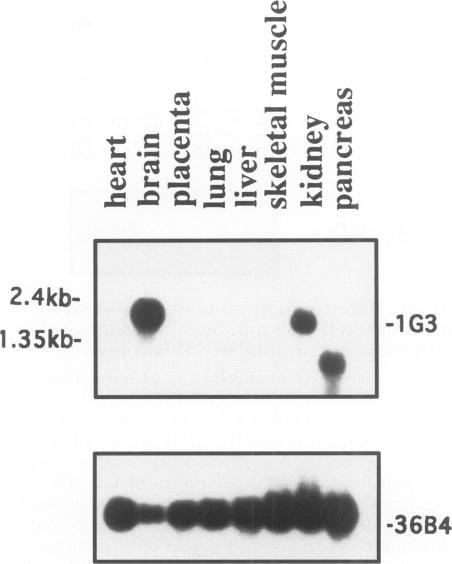 FIG. 7