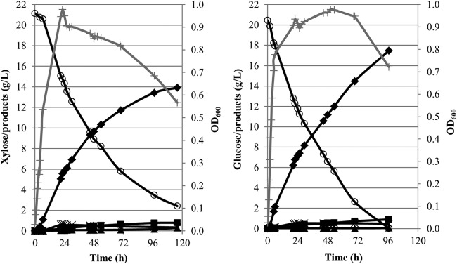 FIG 2