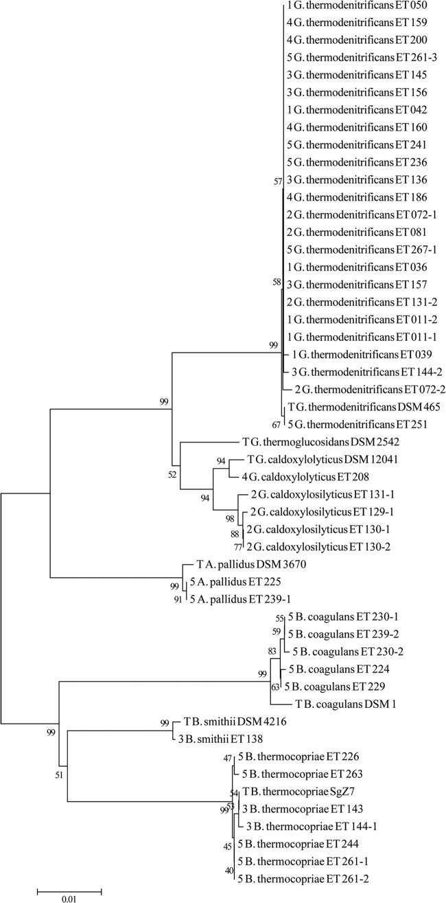 FIG 1