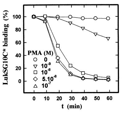 FIG. 7