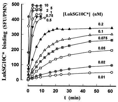 FIG. 3