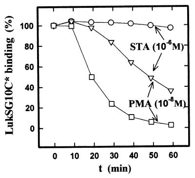 FIG. 8