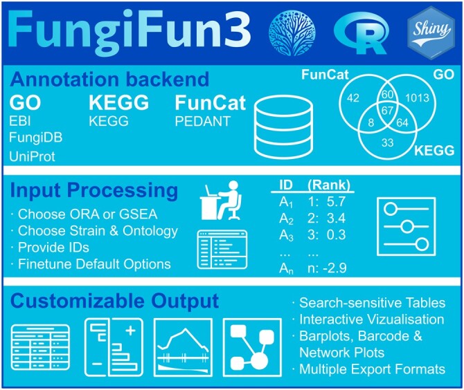 FungiFun3 overview. The backend MySQL database includes annotations for gene-to-category information from multiple resources for three ontologies [Gene Ontology [GO], KEGG and FunCat (Legacy support)]. Upon choosing overrepresentation analysis (ORA) the user decides, which strain to analyze and provides supported strain IDs (enables ORA analysis). Examples of supported IDs are provided for each strain. Optionally, rank information, e.g. by fold-changes between two compared conditions can be provided (enabling gene set enrichment analysis—GSEA). After optionally fine-tuning default parameters, significance tests and output objects are generated, which can be searched, modified, and downloaded in different formats. The color of the R logo, which was kindly provided by The R Foundation under a CC-BY-SA 4.0 license (https://creativecommons.org/licenses/by-sa/4.0/), has been modified. The R Shiny logo has been distributed under a CC0 license.