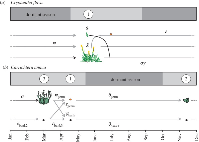 Figure 3.