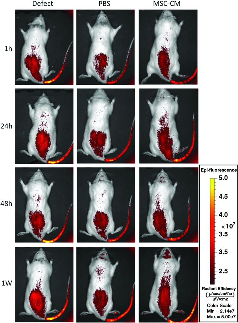 FIG. 6.