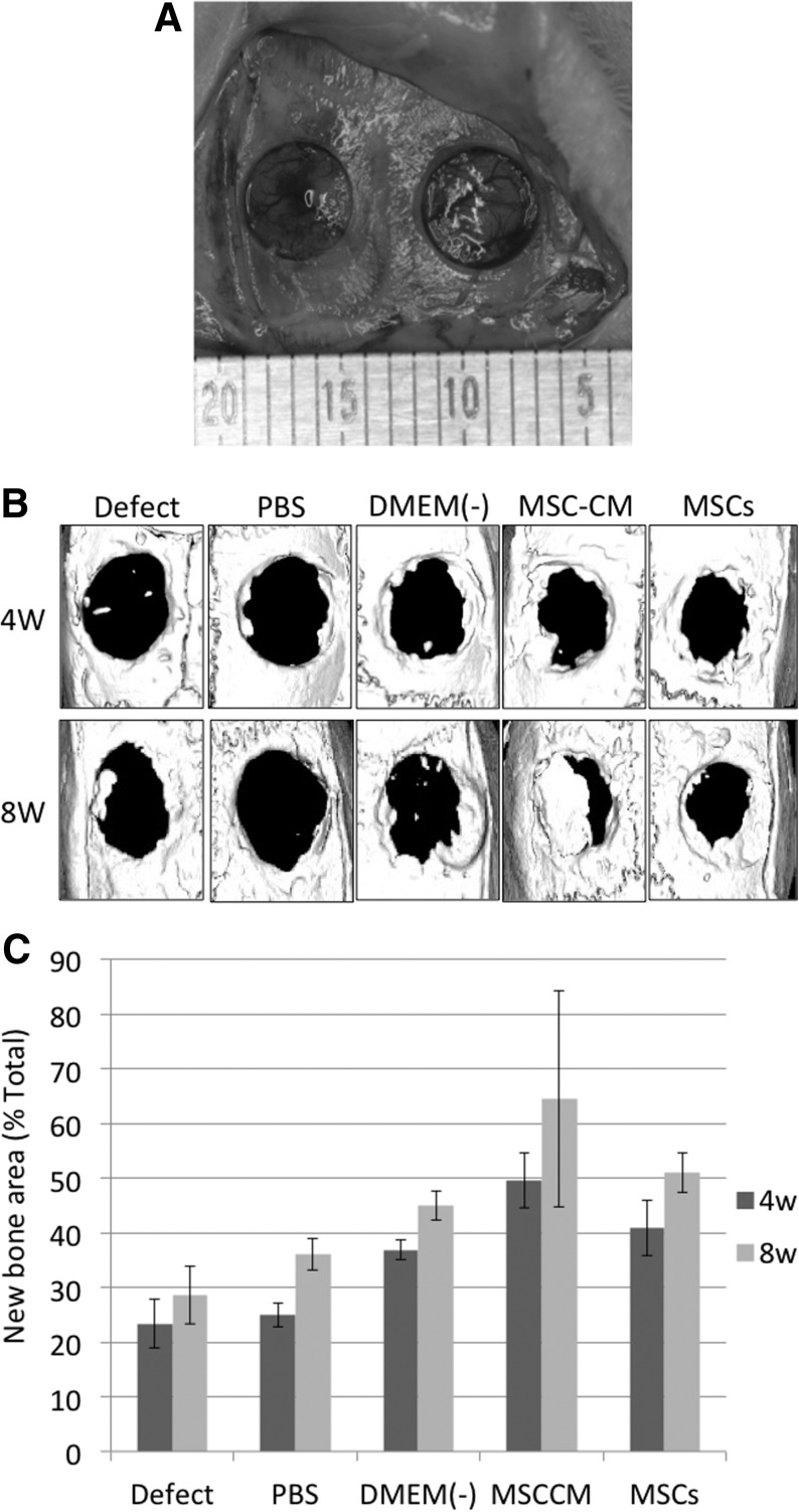 FIG. 4.