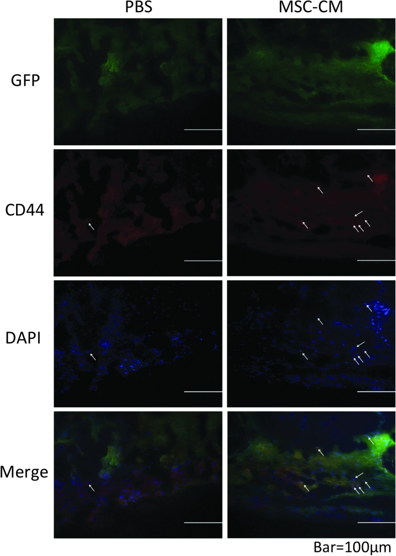 FIG. 7.