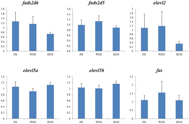 Fig 10