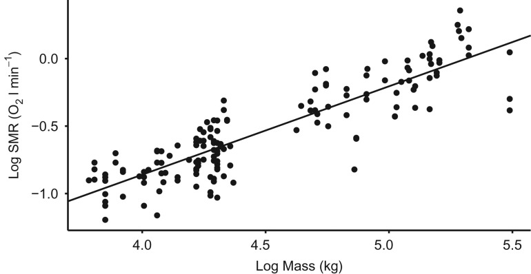 Figure 2: