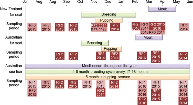 Figure 1: