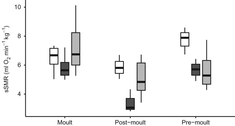 Figure 3: