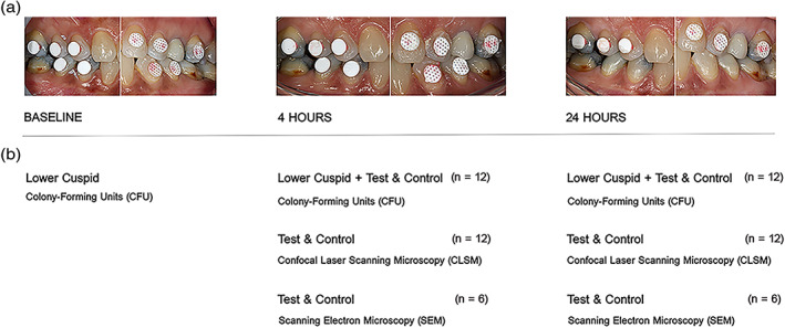 FIGURE 1