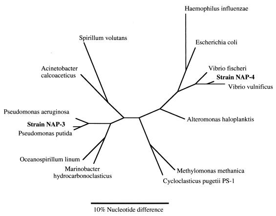 FIG. 3