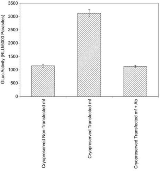 Fig. 9