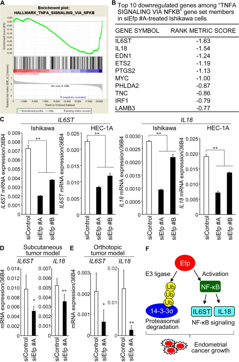 Fig 8