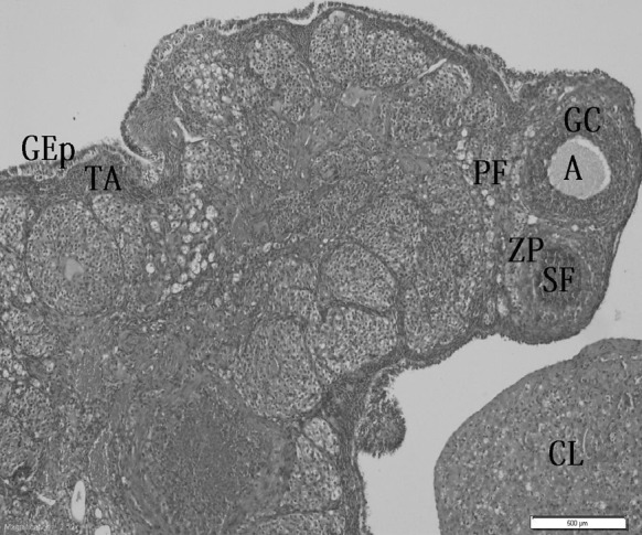 Fig. 1