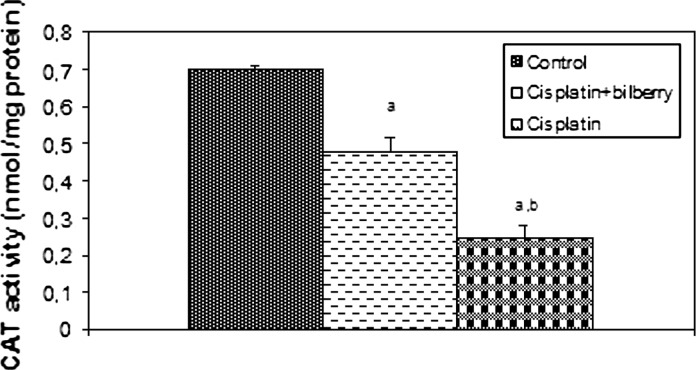 Fig. 6