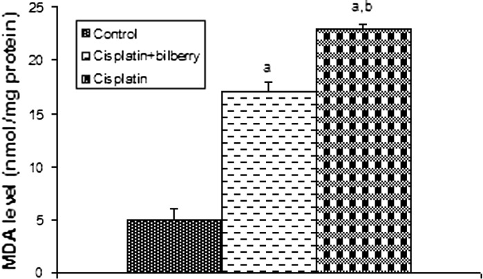 Fig. 4