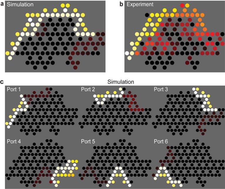 Extended Data Fig. 7