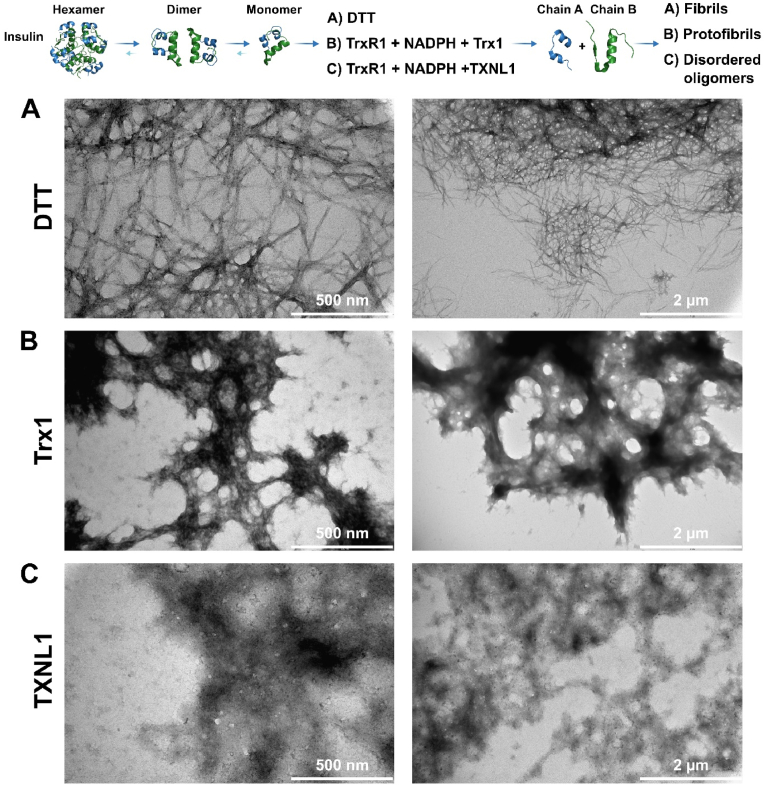 Fig. 9