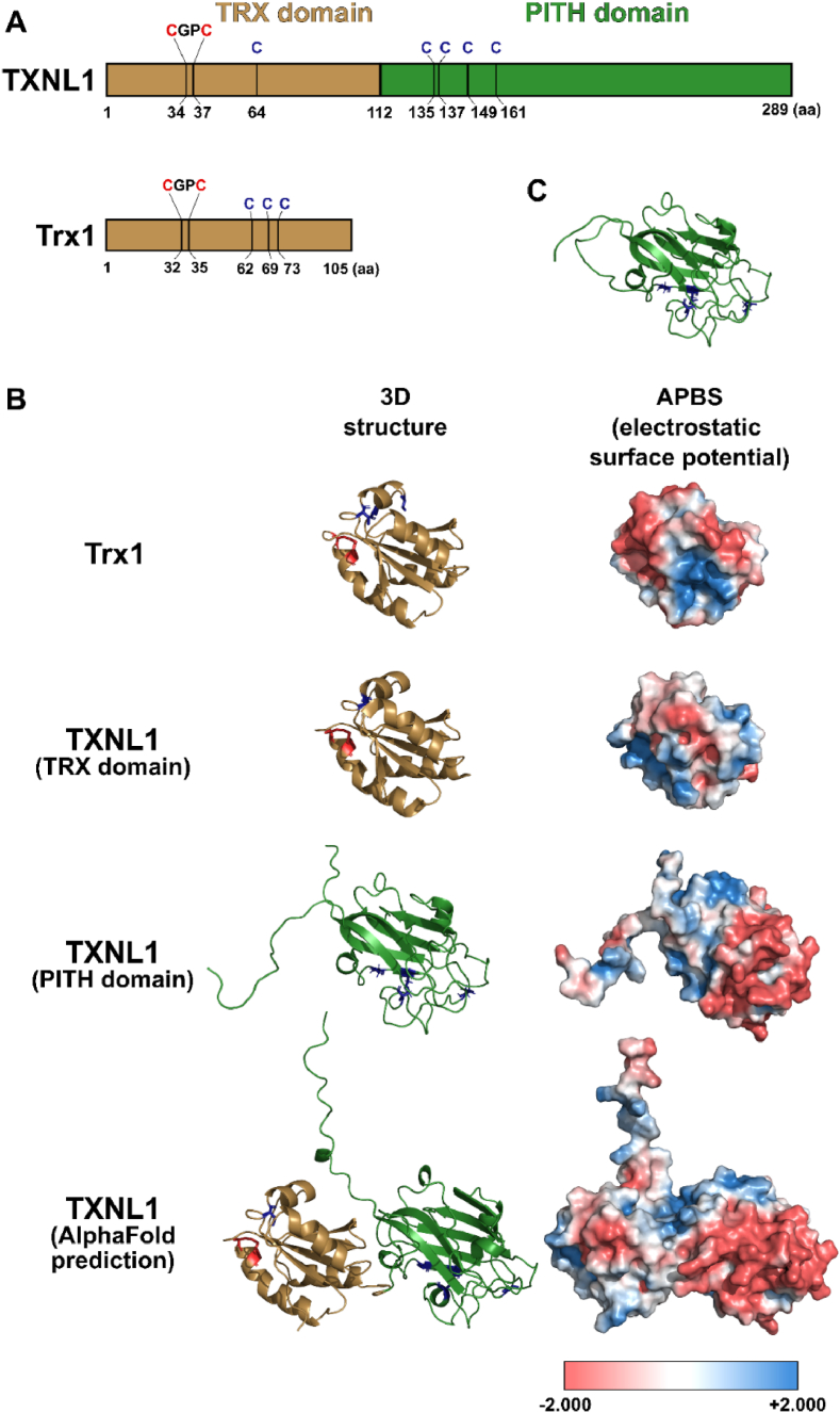 Fig. 1