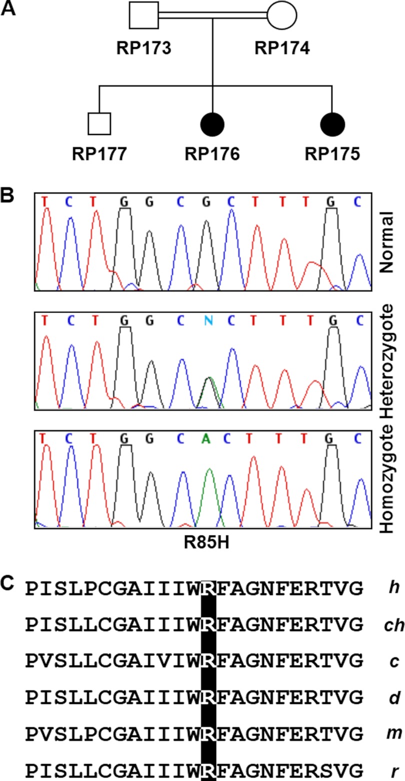 FIGURE 9.