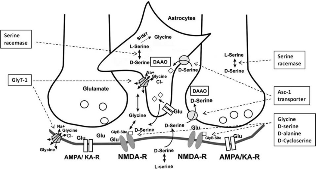 Fig. 10