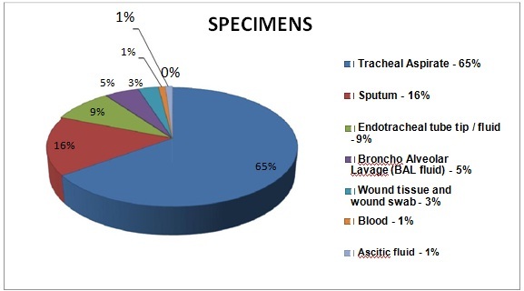 [Table/Fig-3]: