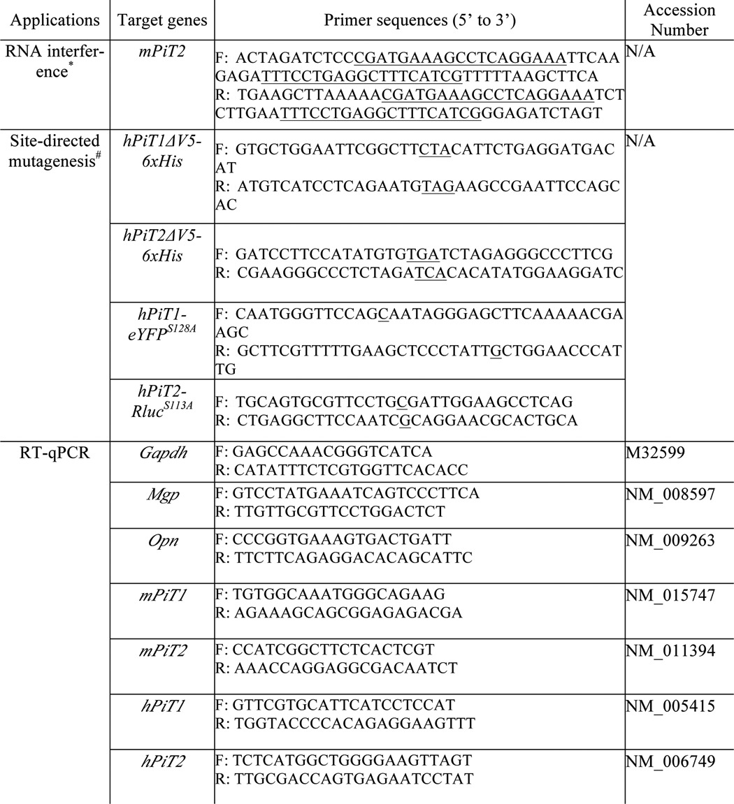 graphic file with name zbc008188104t001.jpg