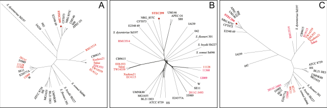 Figure 5