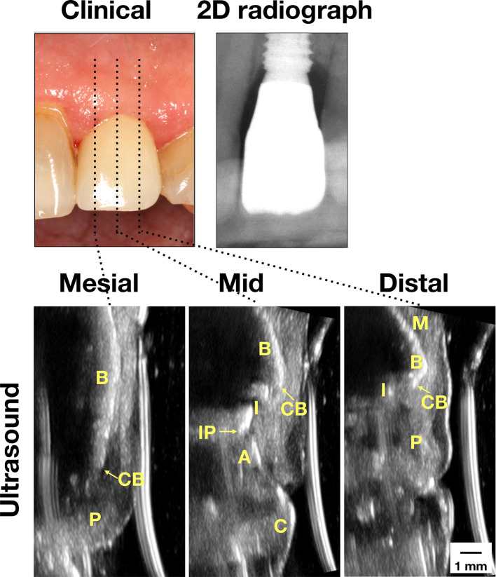 Figure 2.