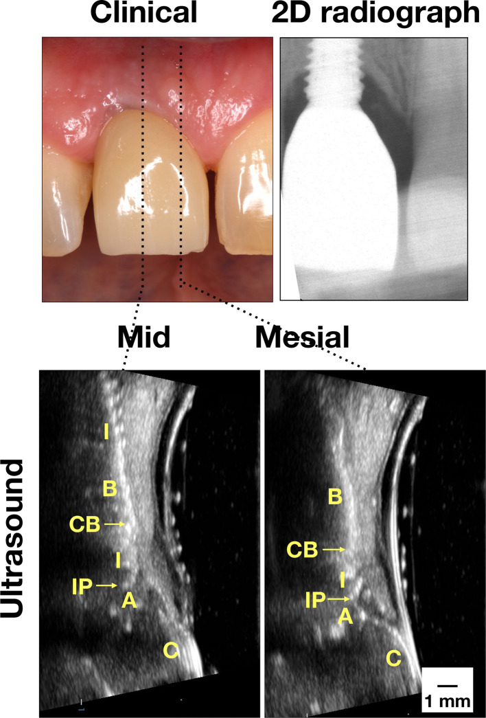 Figure 4.