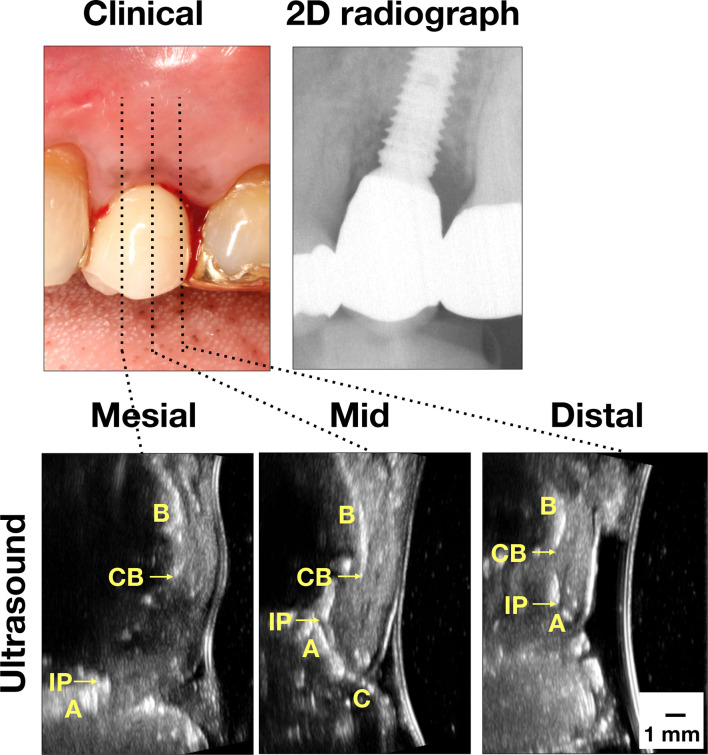 Figure 3.