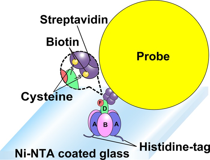 FIGURE 3.