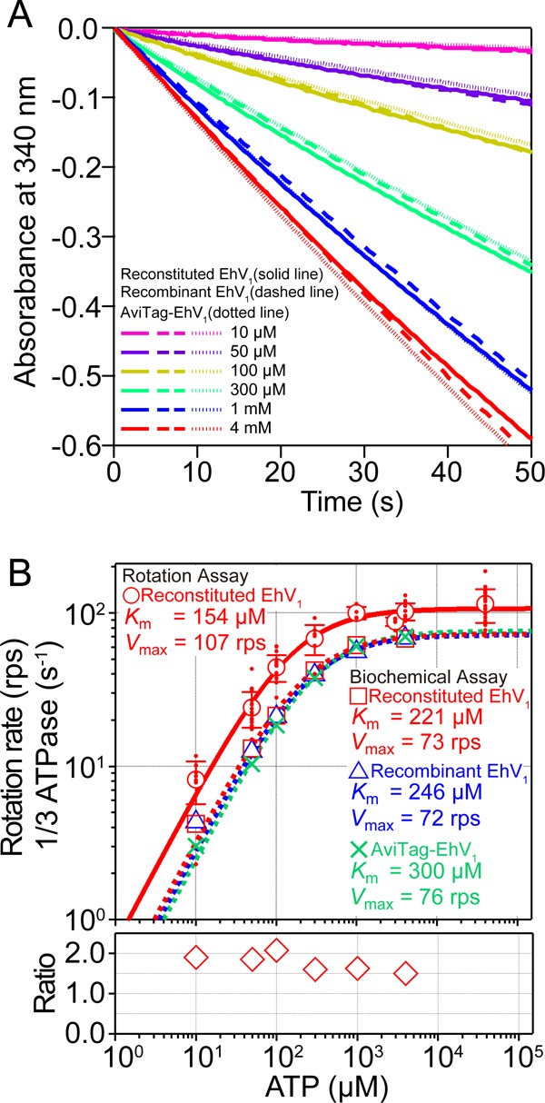 FIGURE 2.