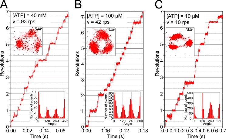 FIGURE 5.