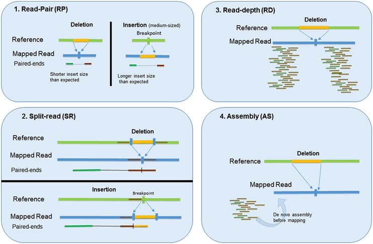 FIGURE 1