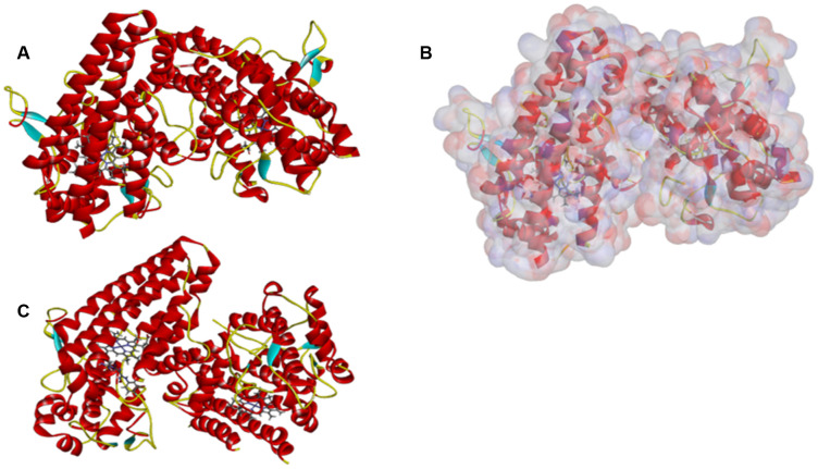 Figure 7