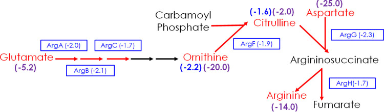 FIG 1