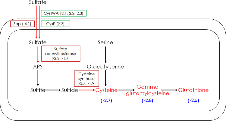 FIG 3