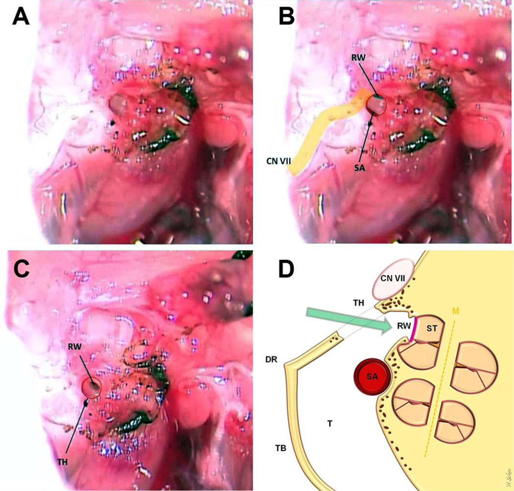 Fig. 4.