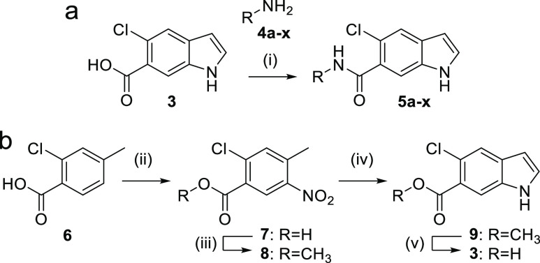 Scheme 1